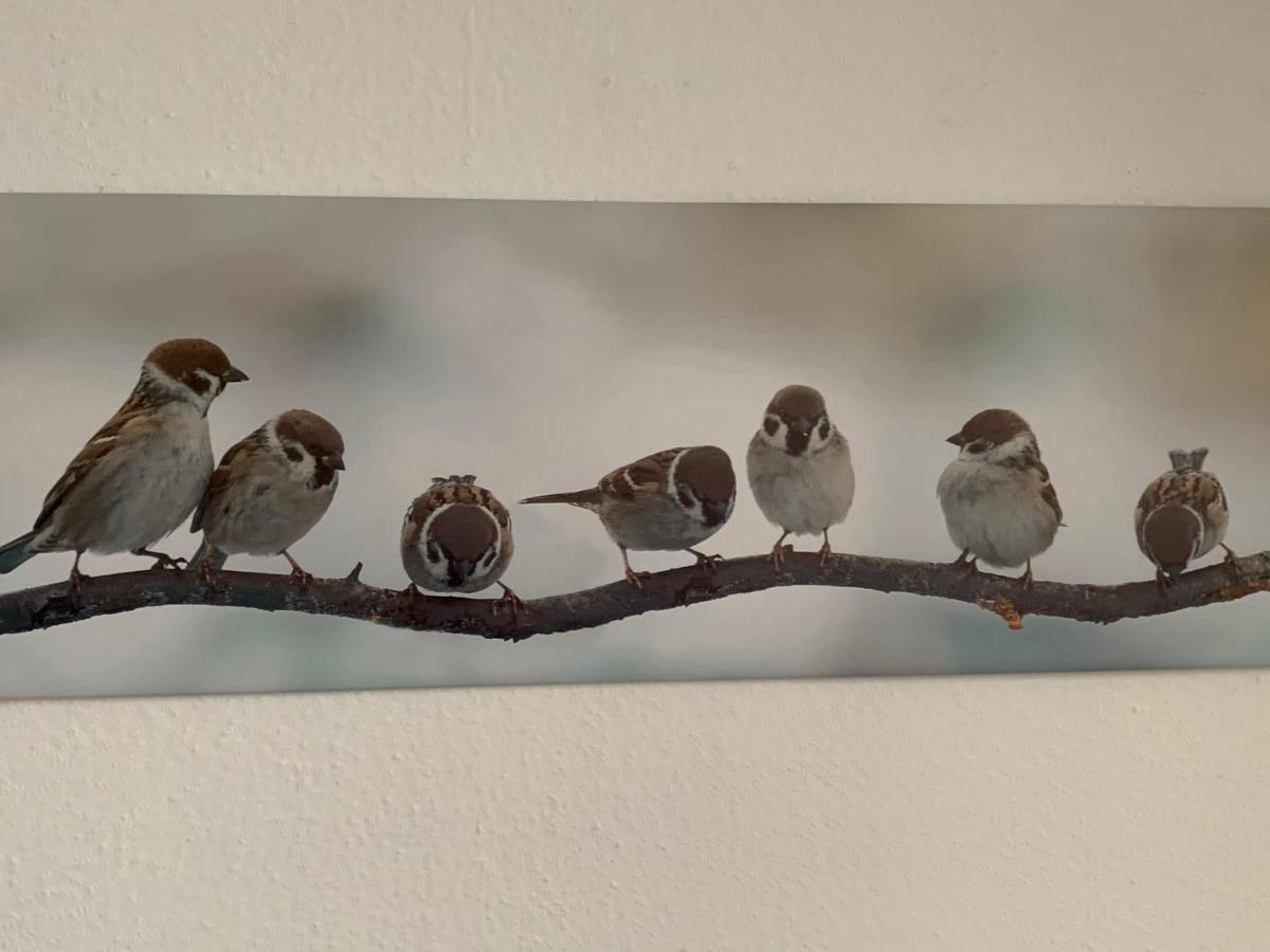 Ferienwohnung Lüttje Hörn Emden Exterior foto